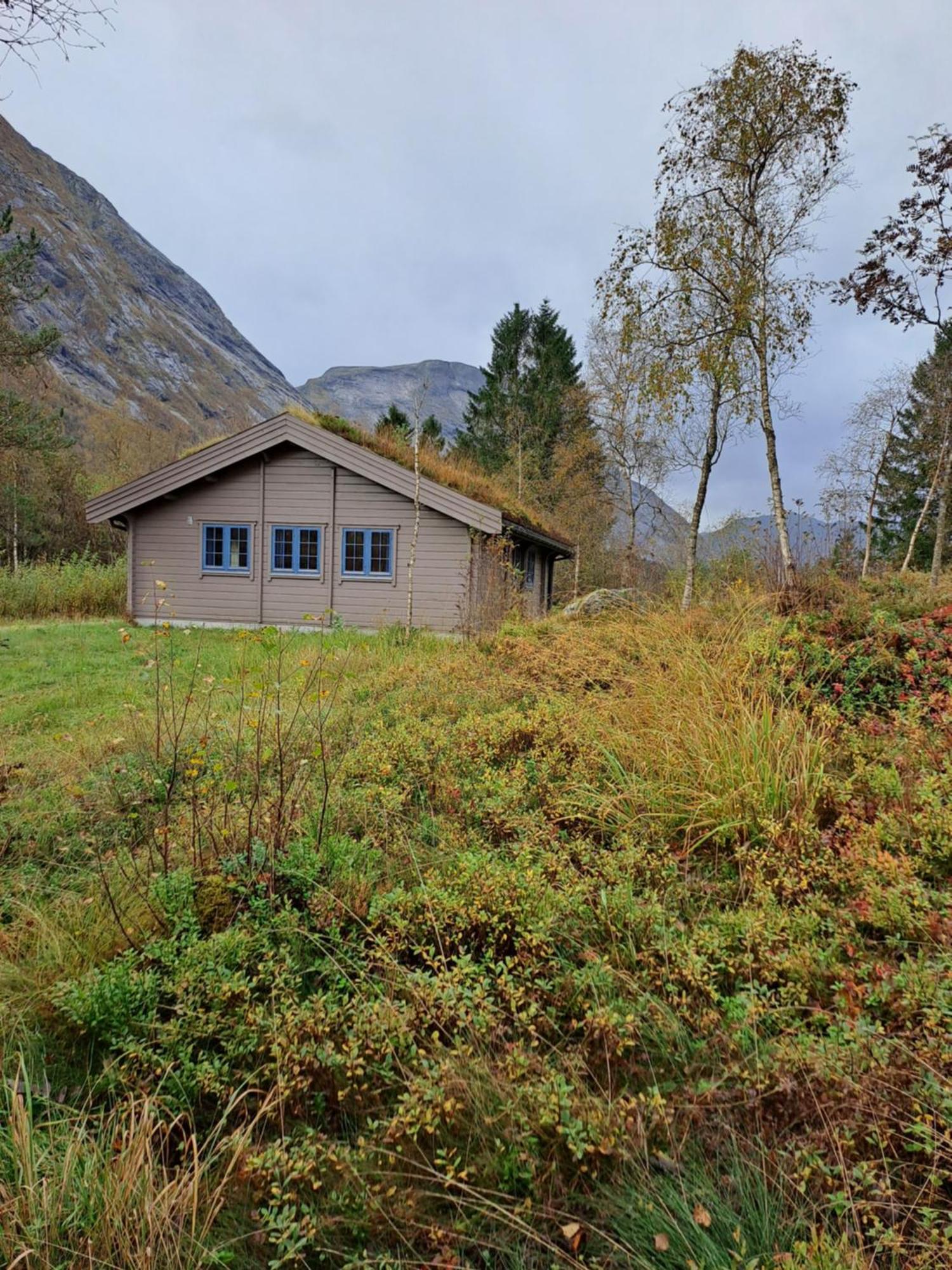 Stardalen Hyttegrend Klakegg Exteriér fotografie