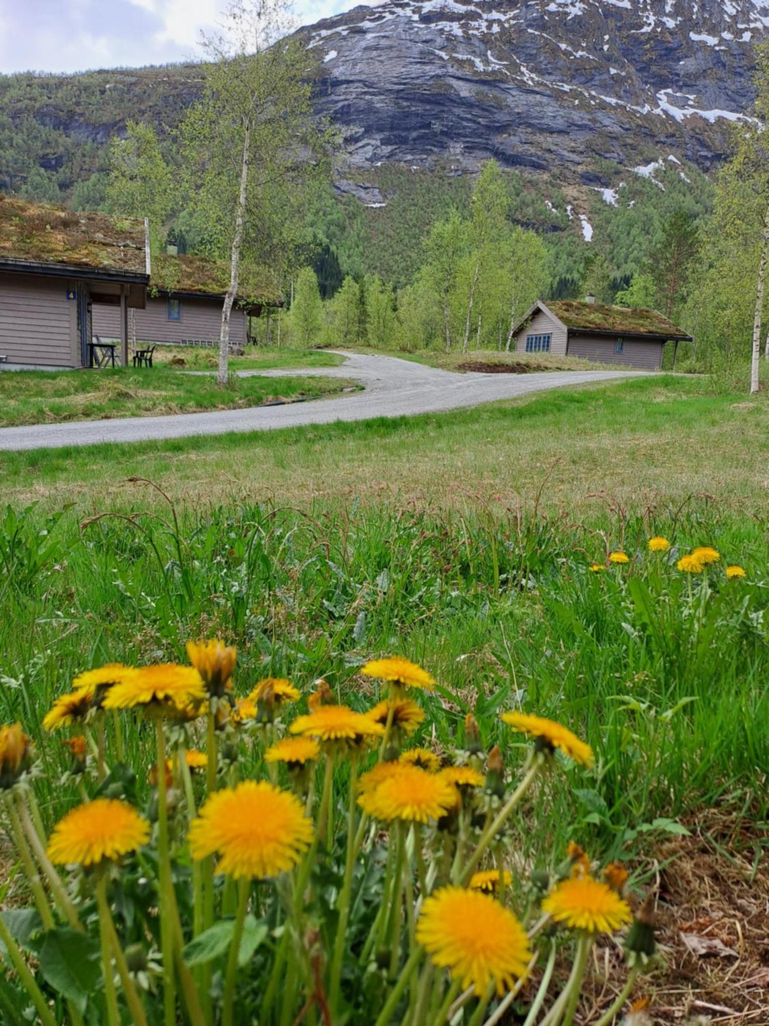 Stardalen Hyttegrend Klakegg Exteriér fotografie